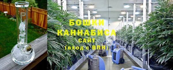 молекула духа Саяногорск