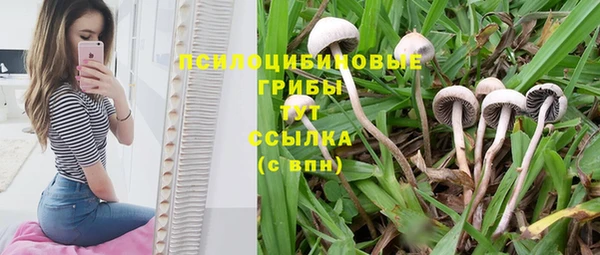 шишки Рославль