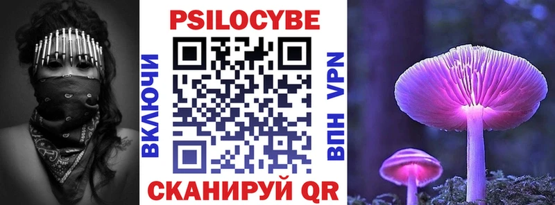 Псилоцибиновые грибы Psilocybe  блэк спрут онион  Никольск 
